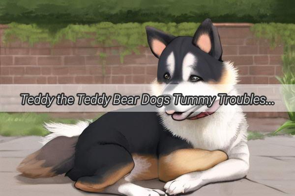 Teddy the Teddy Bear Dogs Tummy Troubles The Misadventure of Bean Skins